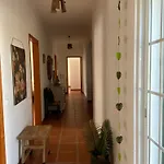 Arrifana Break